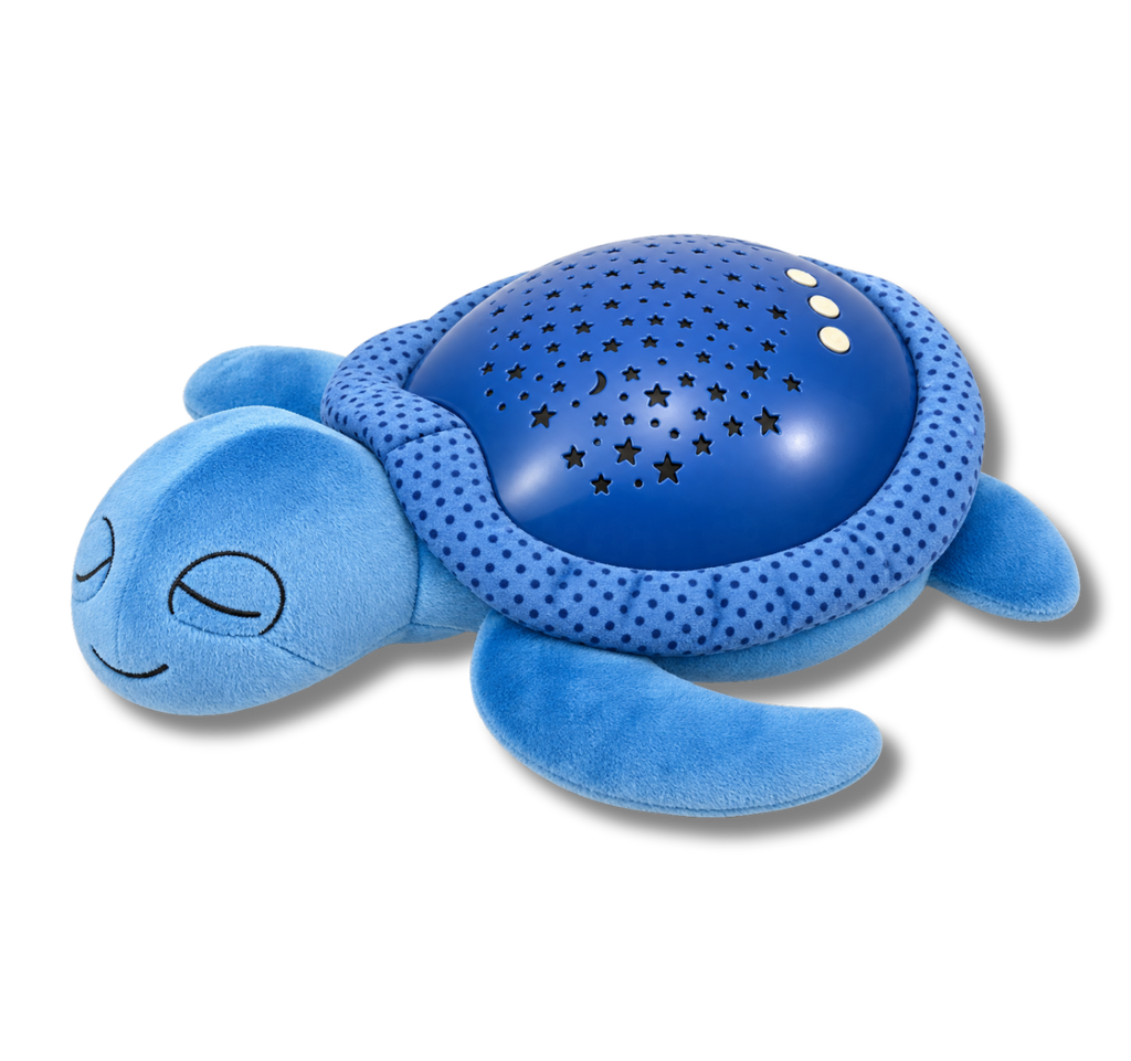 VEILLEUSE TORTUE